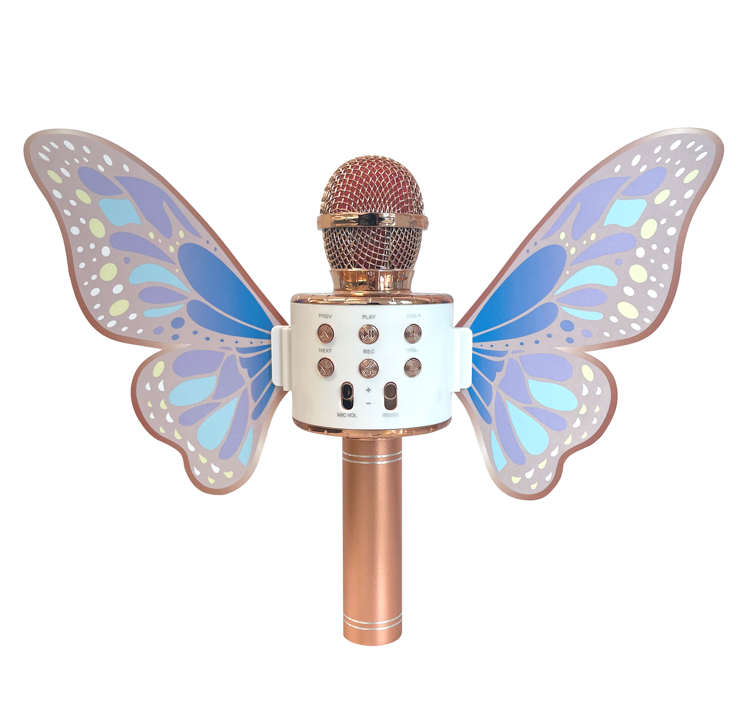 Karaoke Microphone Speaker